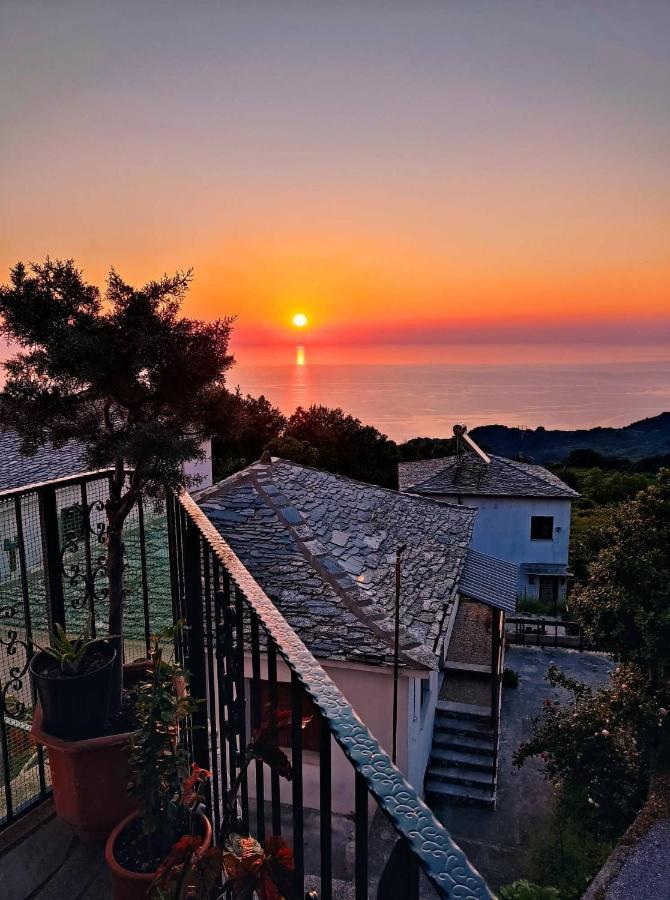 Guesthouse Papagiannopoulou ザゴラ エクステリア 写真