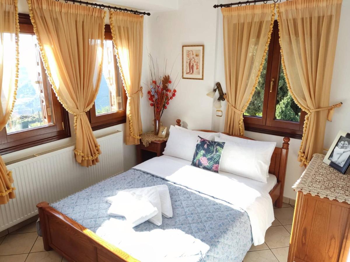Guesthouse Papagiannopoulou ザゴラ エクステリア 写真