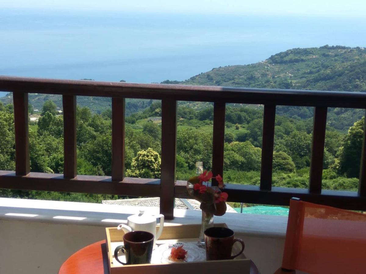 Guesthouse Papagiannopoulou ザゴラ エクステリア 写真