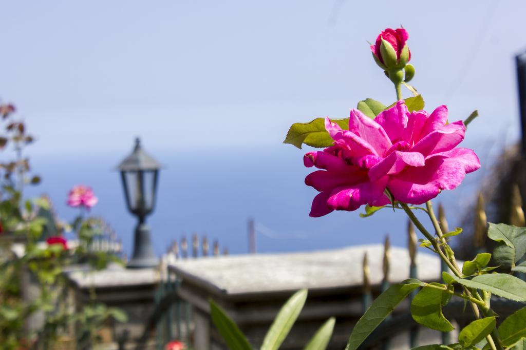 Guesthouse Papagiannopoulou ザゴラ エクステリア 写真