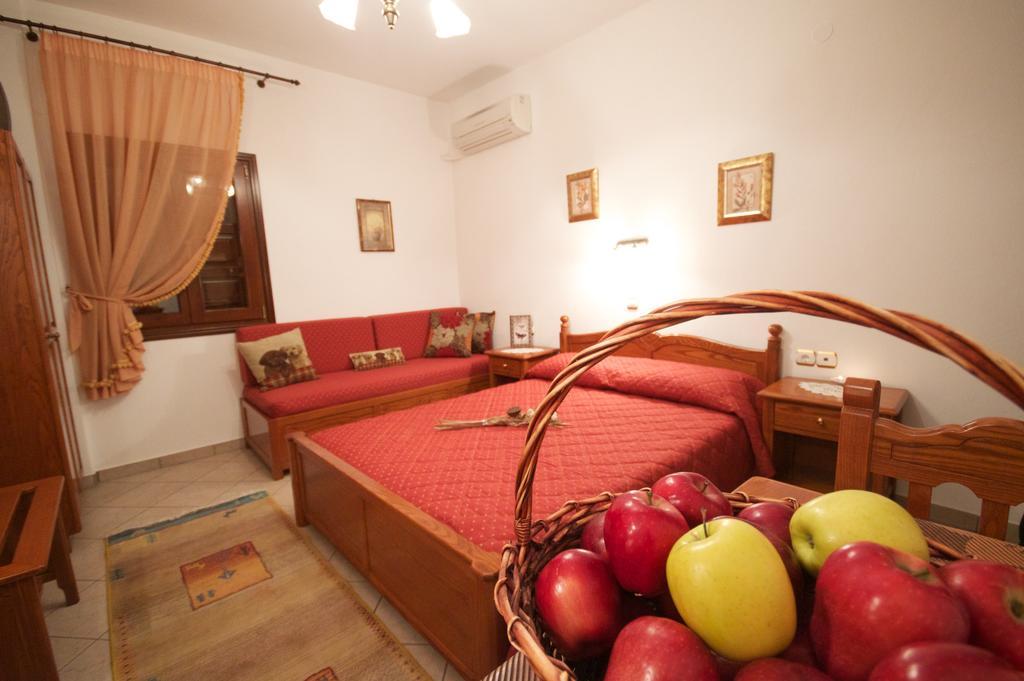 Guesthouse Papagiannopoulou ザゴラ 部屋 写真