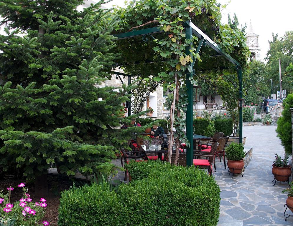 Guesthouse Papagiannopoulou ザゴラ エクステリア 写真